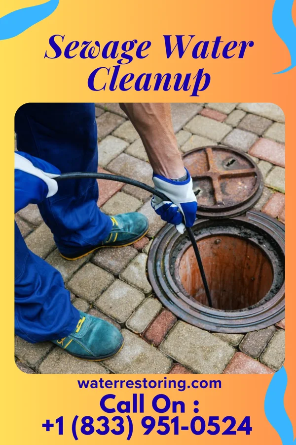 Sewage Water Cleanup in Ocean Bluff-Brant Rock, MA