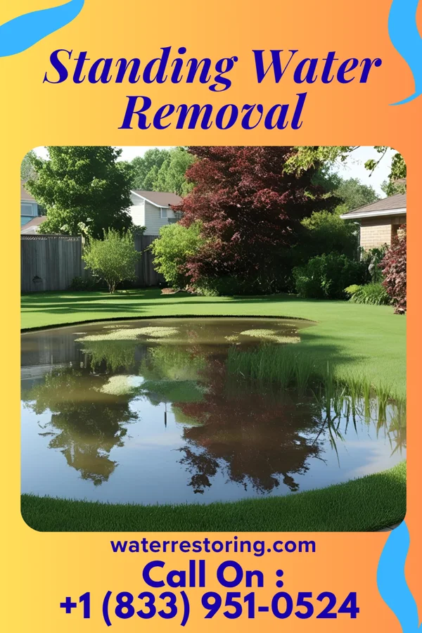 Standing Water Removal in Ocean Bluff-Brant Rock, MA